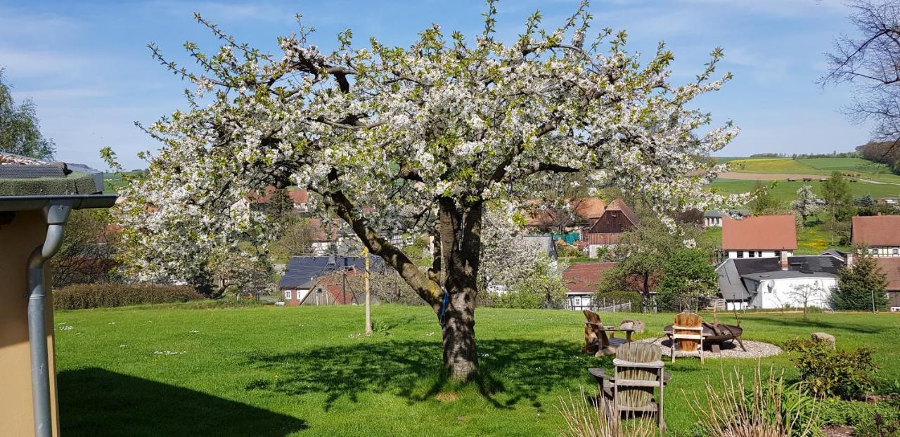 Apartamento Hossies Hof - Elke Bertsdorf Exterior foto